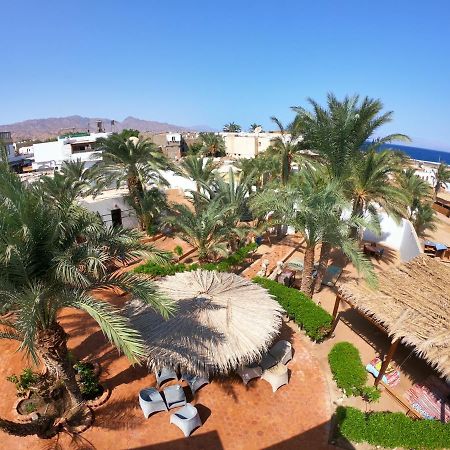 Miramar Camp Dahab Hotel Екстериор снимка