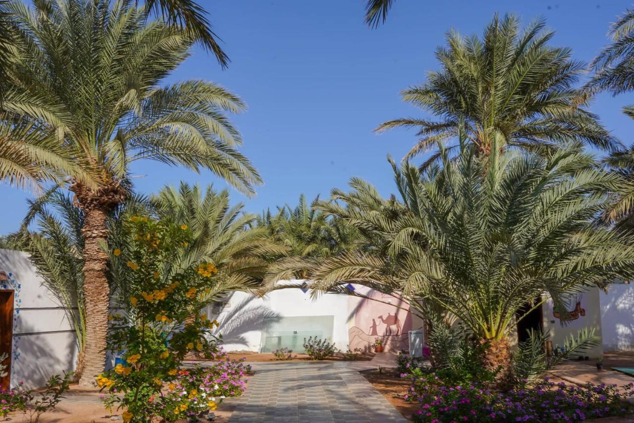 Miramar Camp Dahab Hotel Екстериор снимка