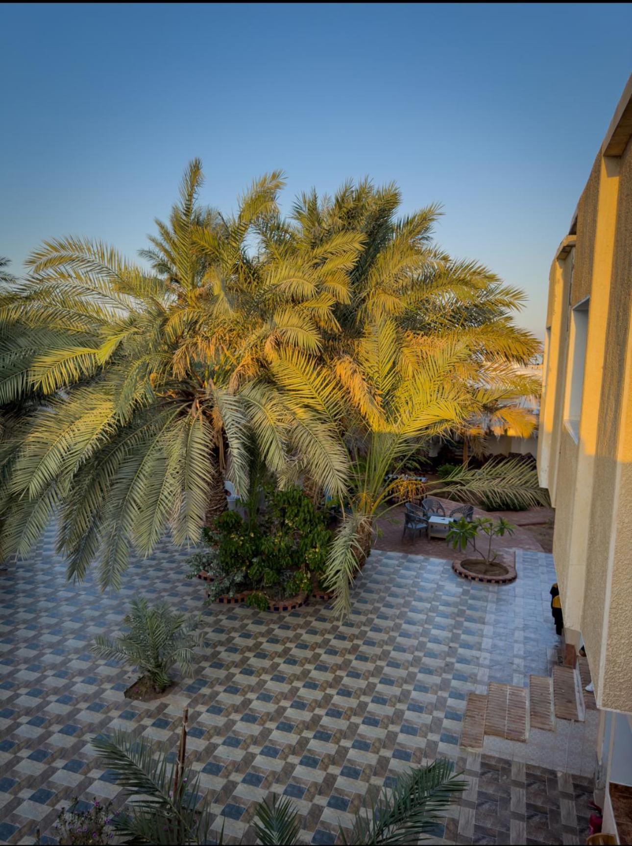 Miramar Camp Dahab Hotel Екстериор снимка