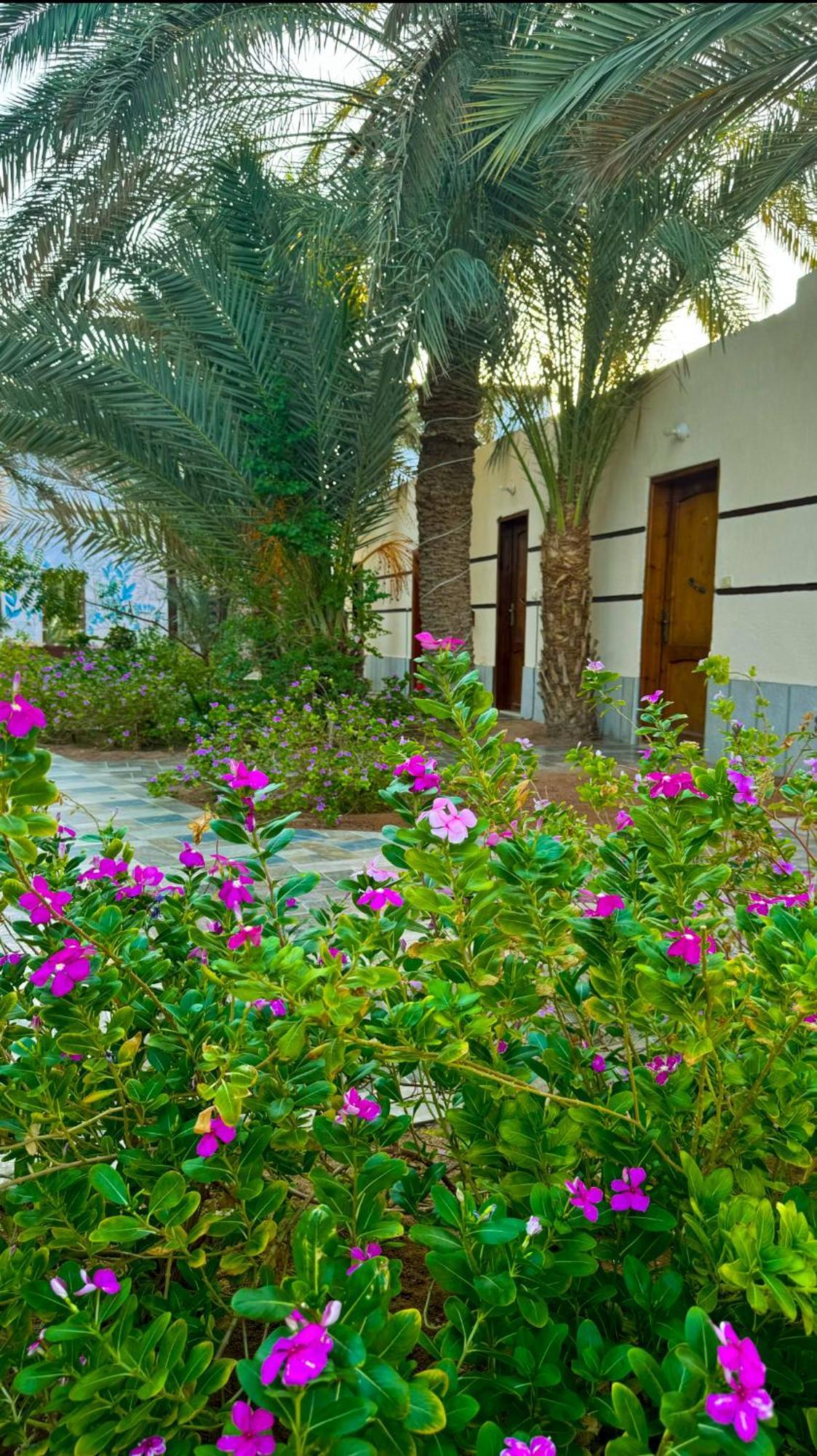 Miramar Camp Dahab Hotel Екстериор снимка