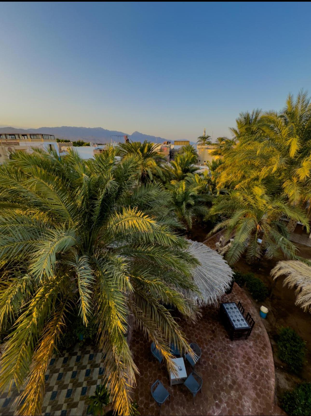 Miramar Camp Dahab Hotel Екстериор снимка