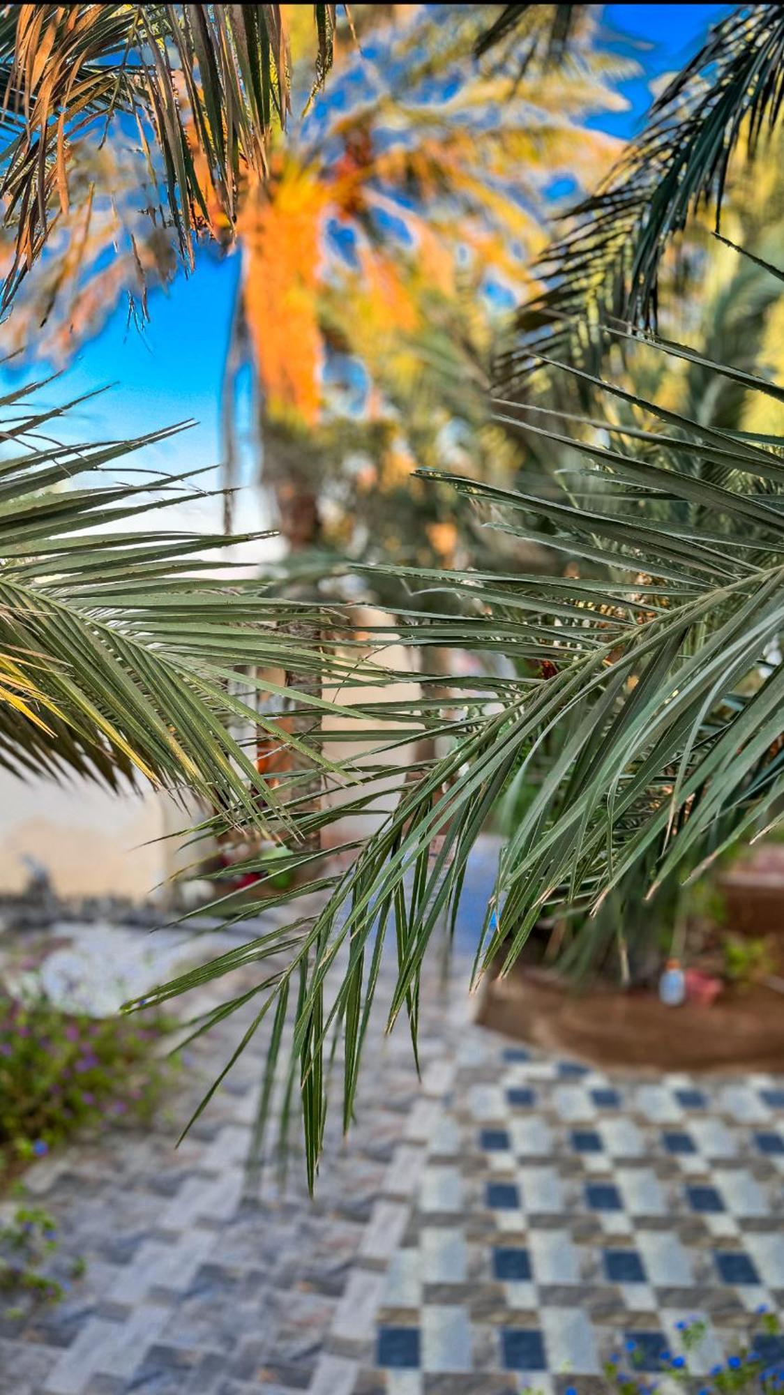 Miramar Camp Dahab Hotel Екстериор снимка