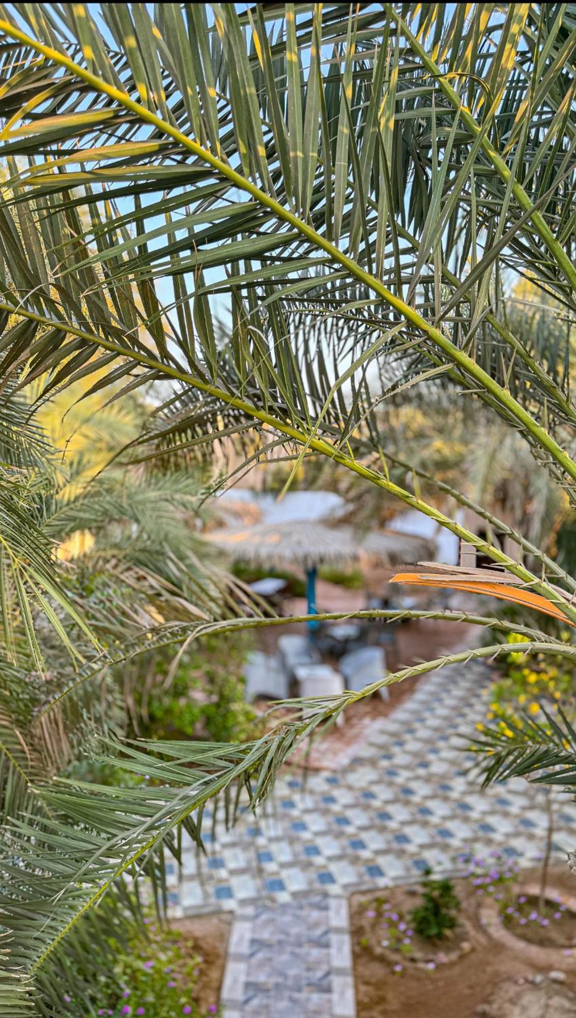 Miramar Camp Dahab Hotel Екстериор снимка