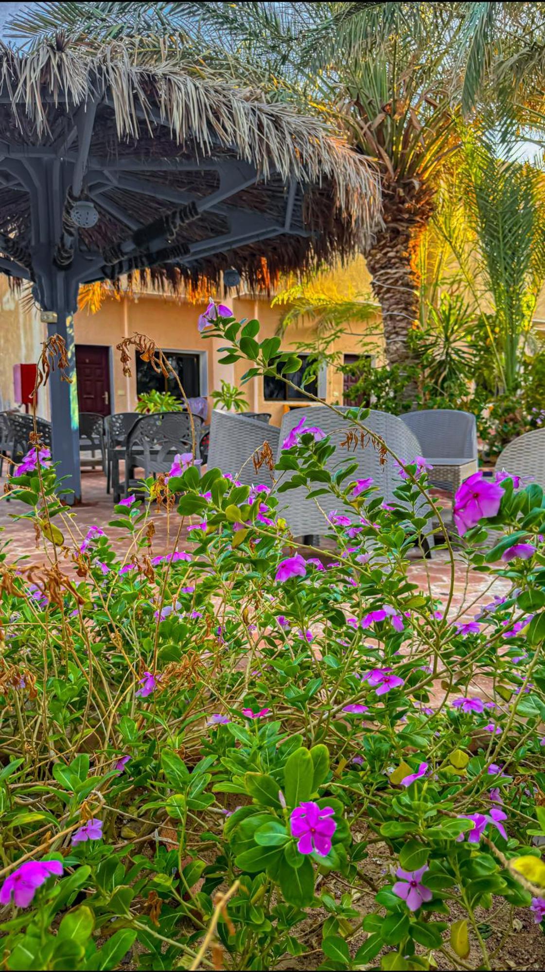 Miramar Camp Dahab Hotel Екстериор снимка