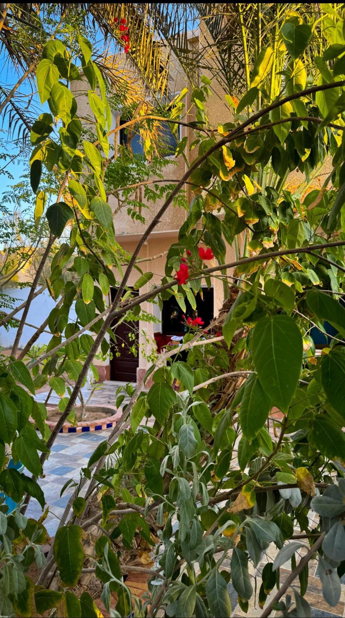 Miramar Camp Dahab Hotel Екстериор снимка