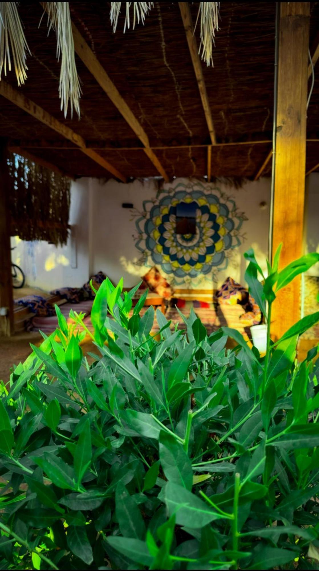 Miramar Camp Dahab Hotel Екстериор снимка