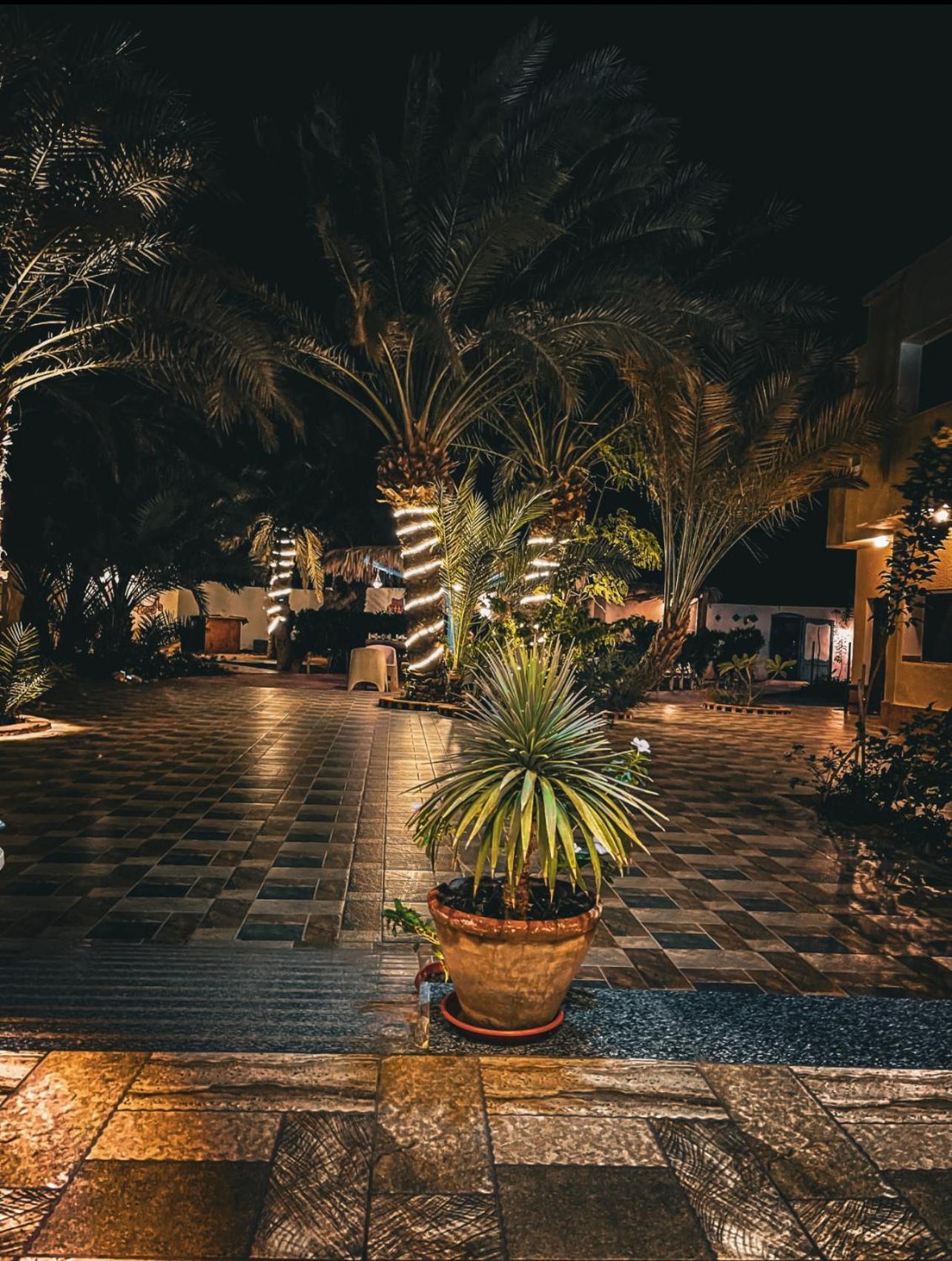 Miramar Camp Dahab Hotel Екстериор снимка