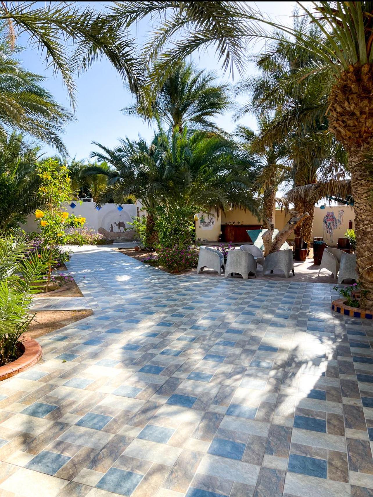 Miramar Camp Dahab Hotel Екстериор снимка